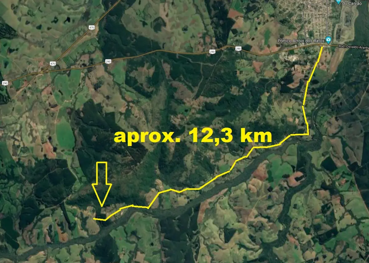 LOTE  - 18 HECTARES DE FLORESTA DE EUCALIPTO EM PÉ APROX 10 ANOS
