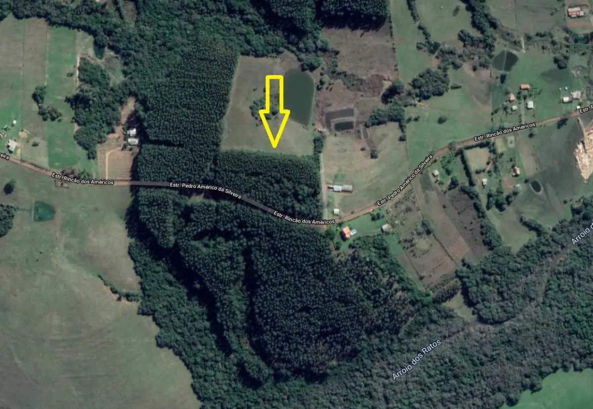 LOTE  - 18 HECTARES DE FLORESTA DE EUCALIPTO EM PÉ APROX 10 ANOS