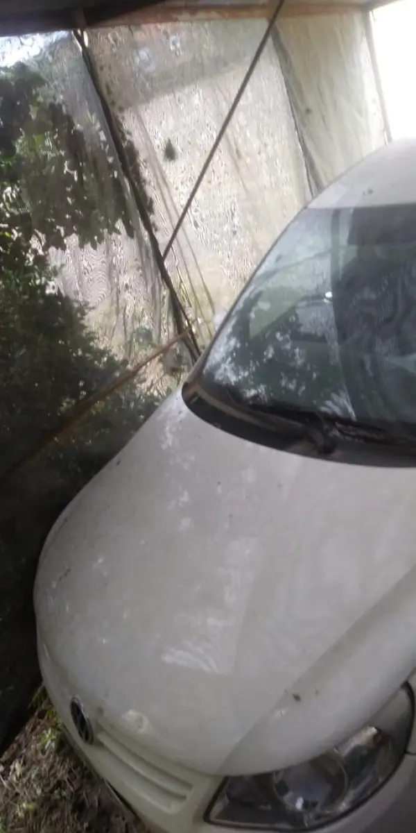 LOTE 1 - LOTE ENGLOBADO DE TODOS LOTES DO LEILÃO