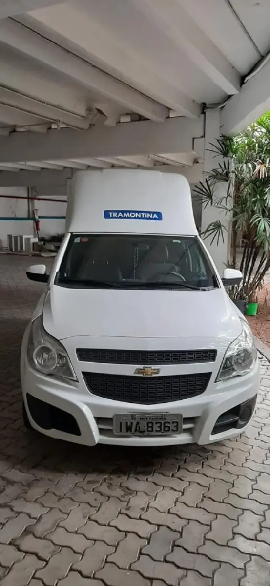 LOTE 04 - MONTANA 14/15