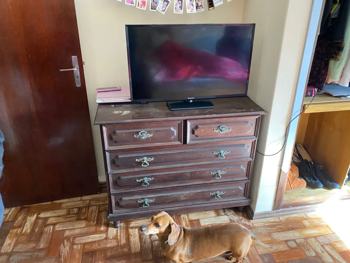 LOTE 2 - MÓVEIS DENTRO DA CASA