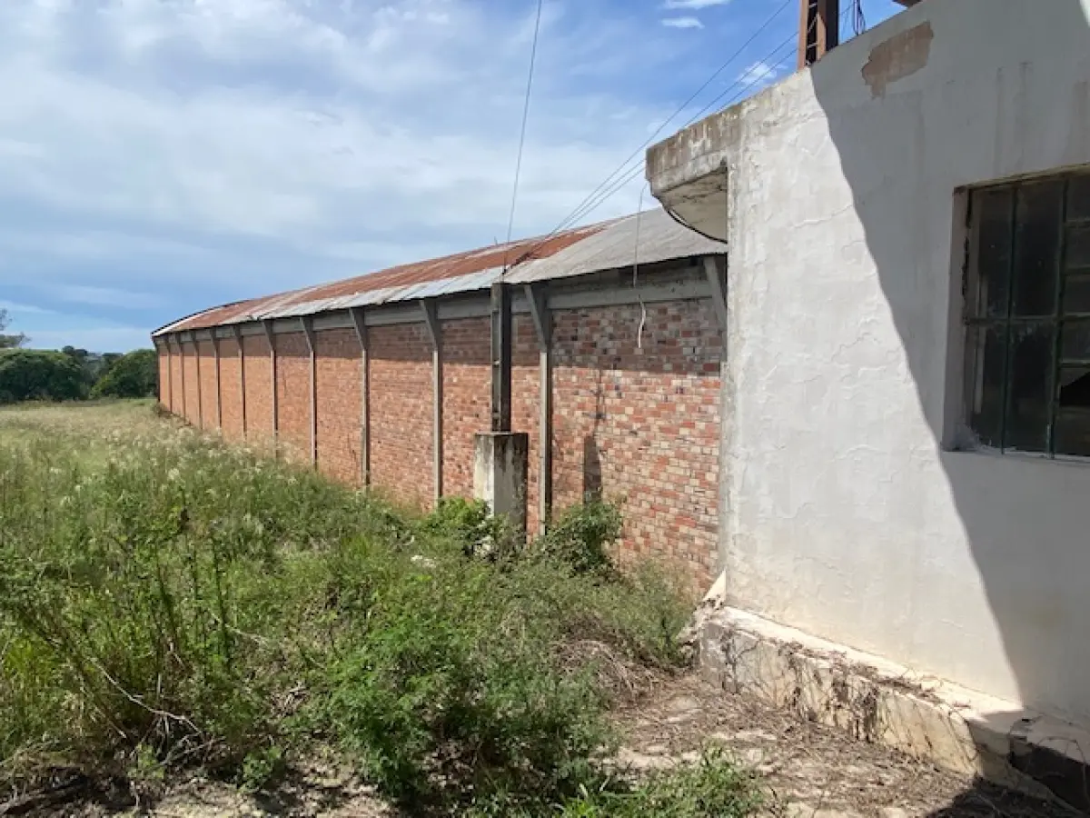 LOTE 1 - CACHOEIRA DO SUL - 5,5HA DE PLANTA INDUSTRIAL PARA GRÃOS NA BR