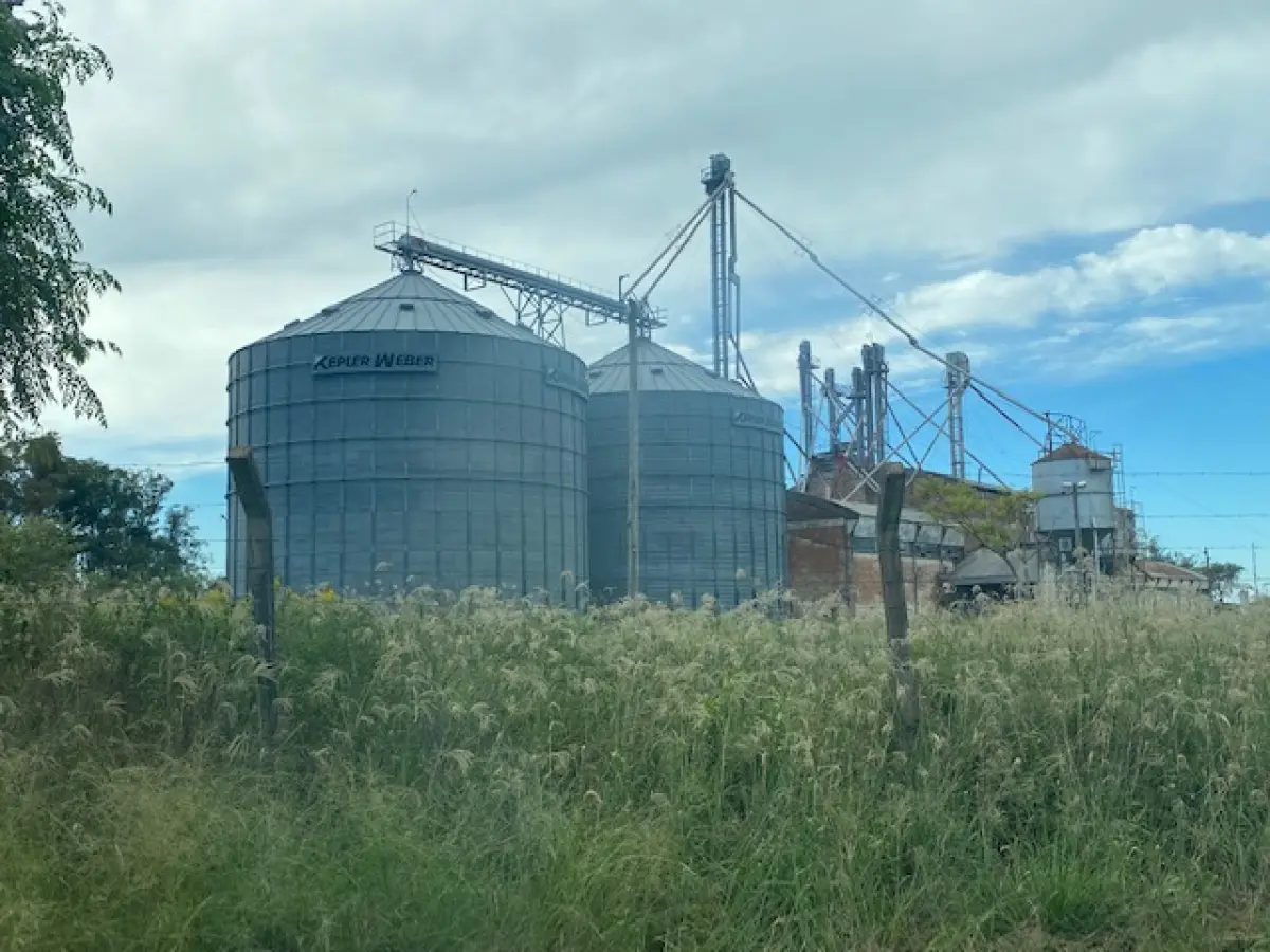 LOTE 1 - CACHOEIRA DO SUL - 5,5HA DE PLANTA INDUSTRIAL PARA GRÃOS NA BR
