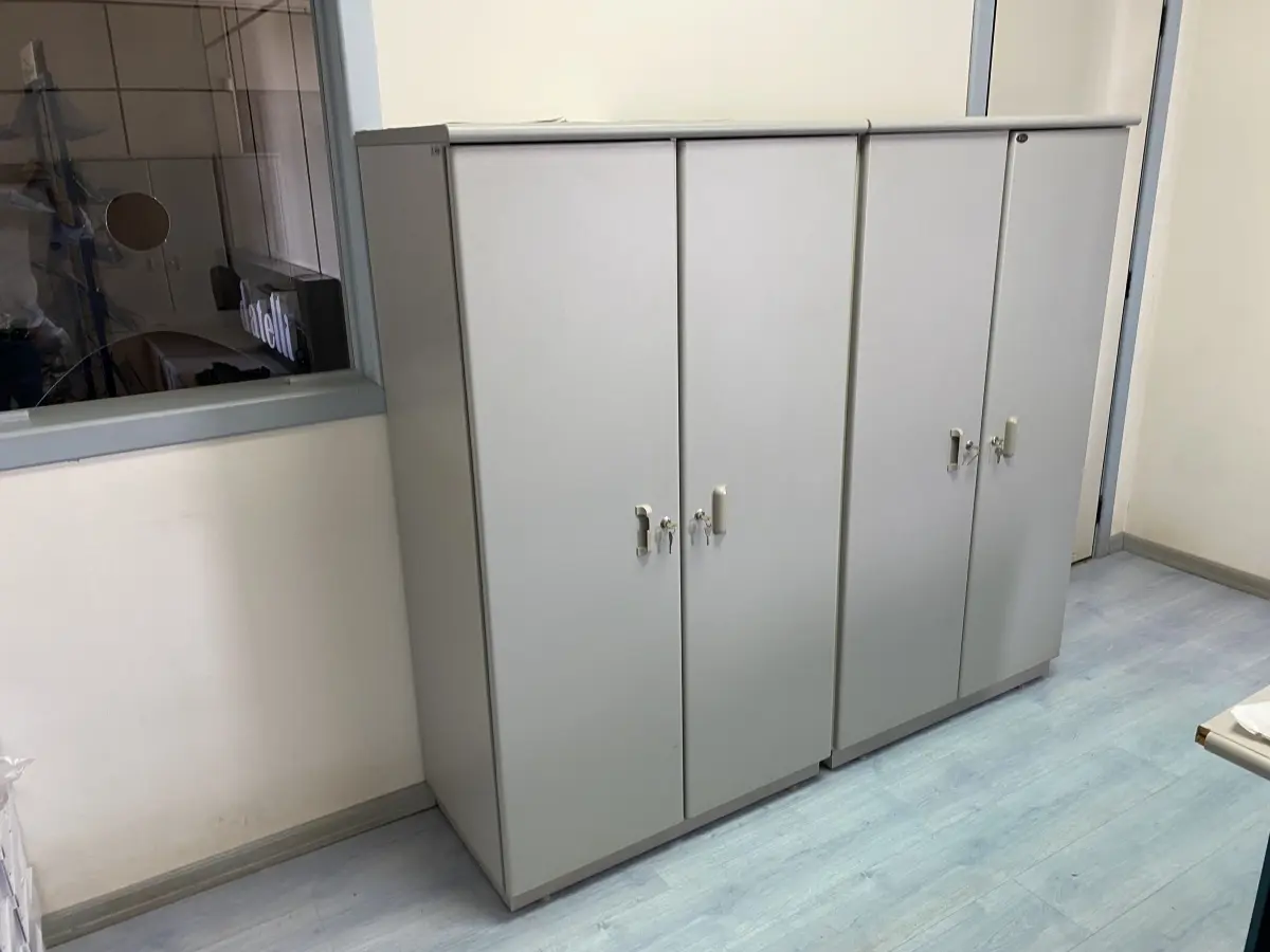 LOTE 502 - 2 armarios de madeira com 2 portas