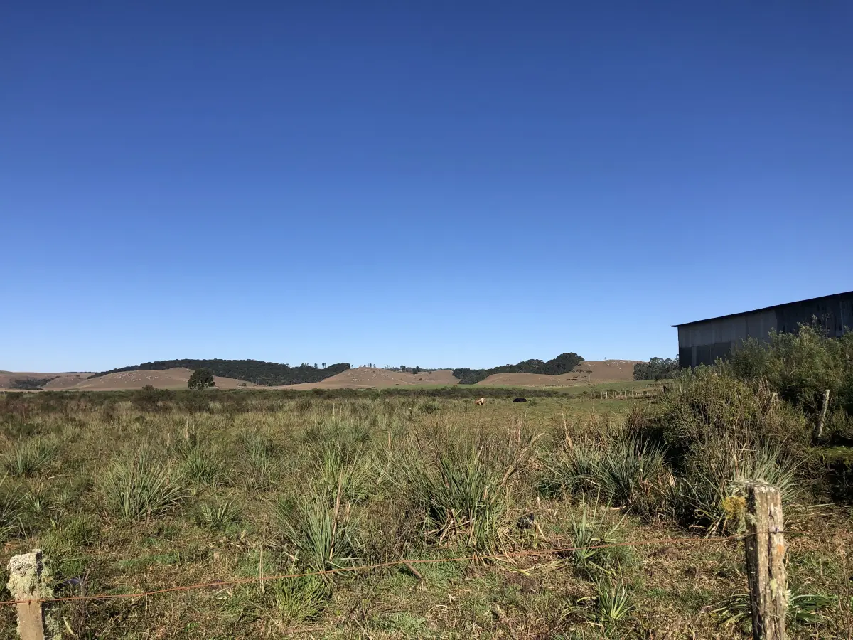 LOTE 001 - Uma área de terras c/20.000m²