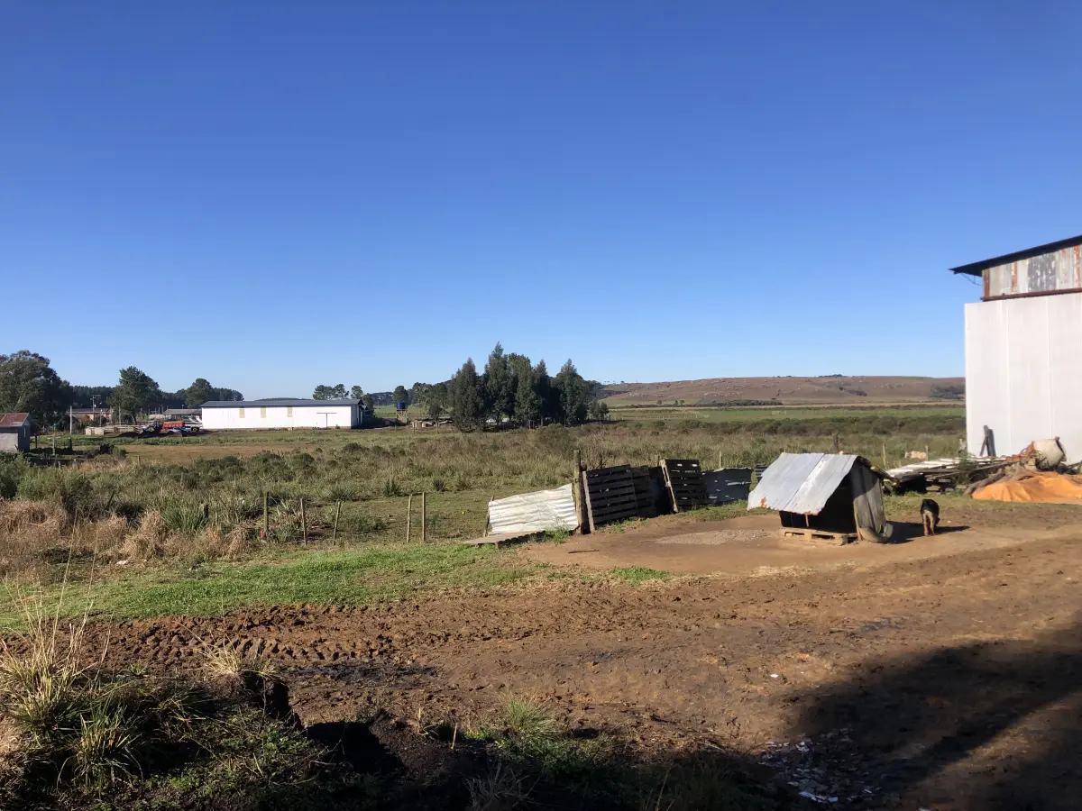 LOTE 001 - Uma área de terras c/20.000m²