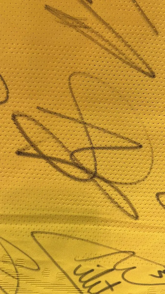 LOTE 001 - CAMPANHA DE DOAÇÃO - LEILÃO DE CAMISA DO JOGADOR TIAGO SILVA DA SELEÇÃO BRASILEIRA AUTOGRAFADA POR TODOS OS JOGADORES - CAMISA COM O LEILOEIRO A DISPOSIÇÃO PARA VISITAÇÃO - AJUDAR ESSA NOBRE CAUSA NÃO TEM PREÇO - PARA CADASTRO RÁPIDO CONTATE O LEILOEIRO 51.991165051