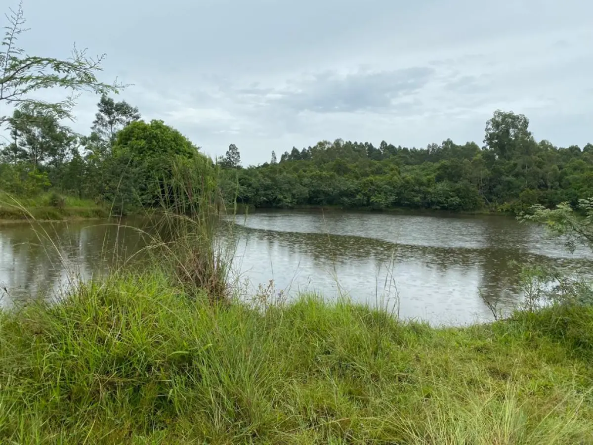 LOTE 000 - IMÓVEL GRANDE C. ÁREA 46.000M2 – 2 FRENTES PARA ESTRADAS ASFALTADAS NA ZONA INDUSTRIAL DE TRIUNFO