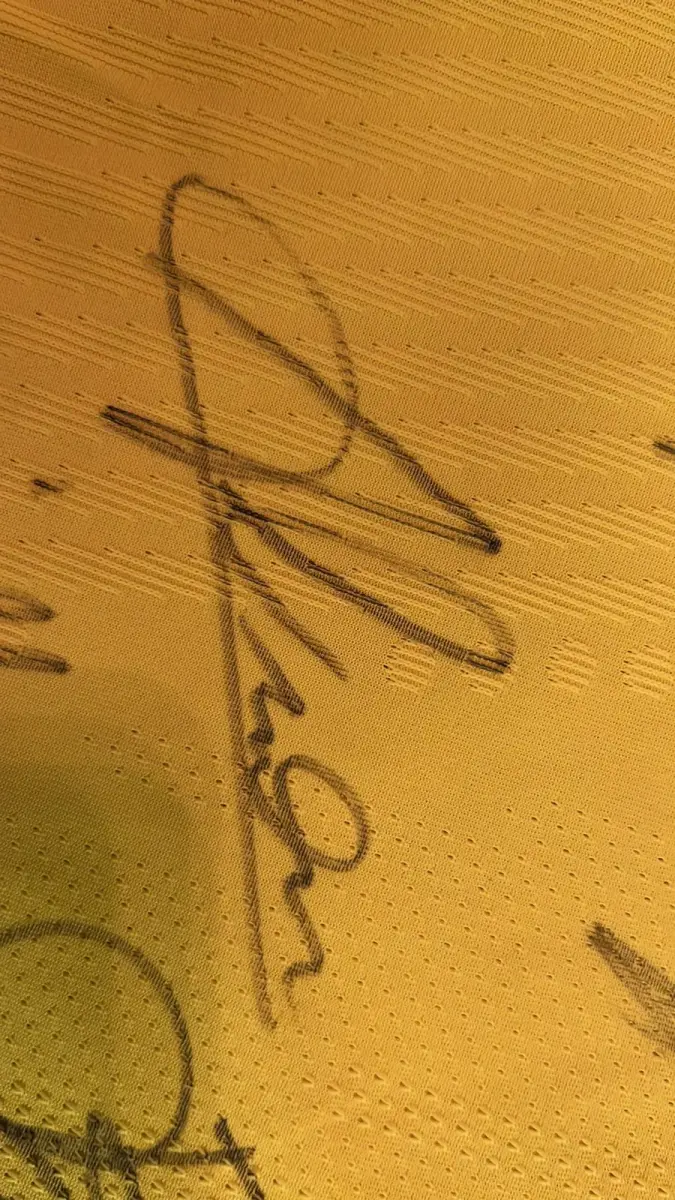 LOTE 001 - CAMPANHA DE DOAÇÃO - LEILÃO DE CAMISA DO JOGADOR TIAGO SILVA DA SELEÇÃO BRASILEIRA AUTOGRAFADA POR TODOS OS JOGADORES - CAMISA COM O LEILOEIRO A DISPOSIÇÃO PARA VISITAÇÃO - AJUDAR ESSA NOBRE CAUSA NÃO TEM PREÇO - PARA CADASTRO RÁPIDO CONTATE O LEILOEIRO 51.991165051