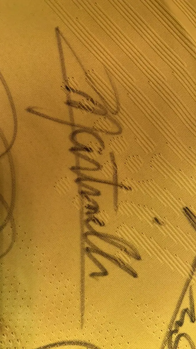 LOTE 001 - CAMPANHA DE DOAÇÃO - LEILÃO DE CAMISA DO JOGADOR TIAGO SILVA DA SELEÇÃO BRASILEIRA AUTOGRAFADA POR TODOS OS JOGADORES - CAMISA COM O LEILOEIRO A DISPOSIÇÃO PARA VISITAÇÃO - AJUDAR ESSA NOBRE CAUSA NÃO TEM PREÇO - PARA CADASTRO RÁPIDO CONTATE O LEILOEIRO 51.991165051