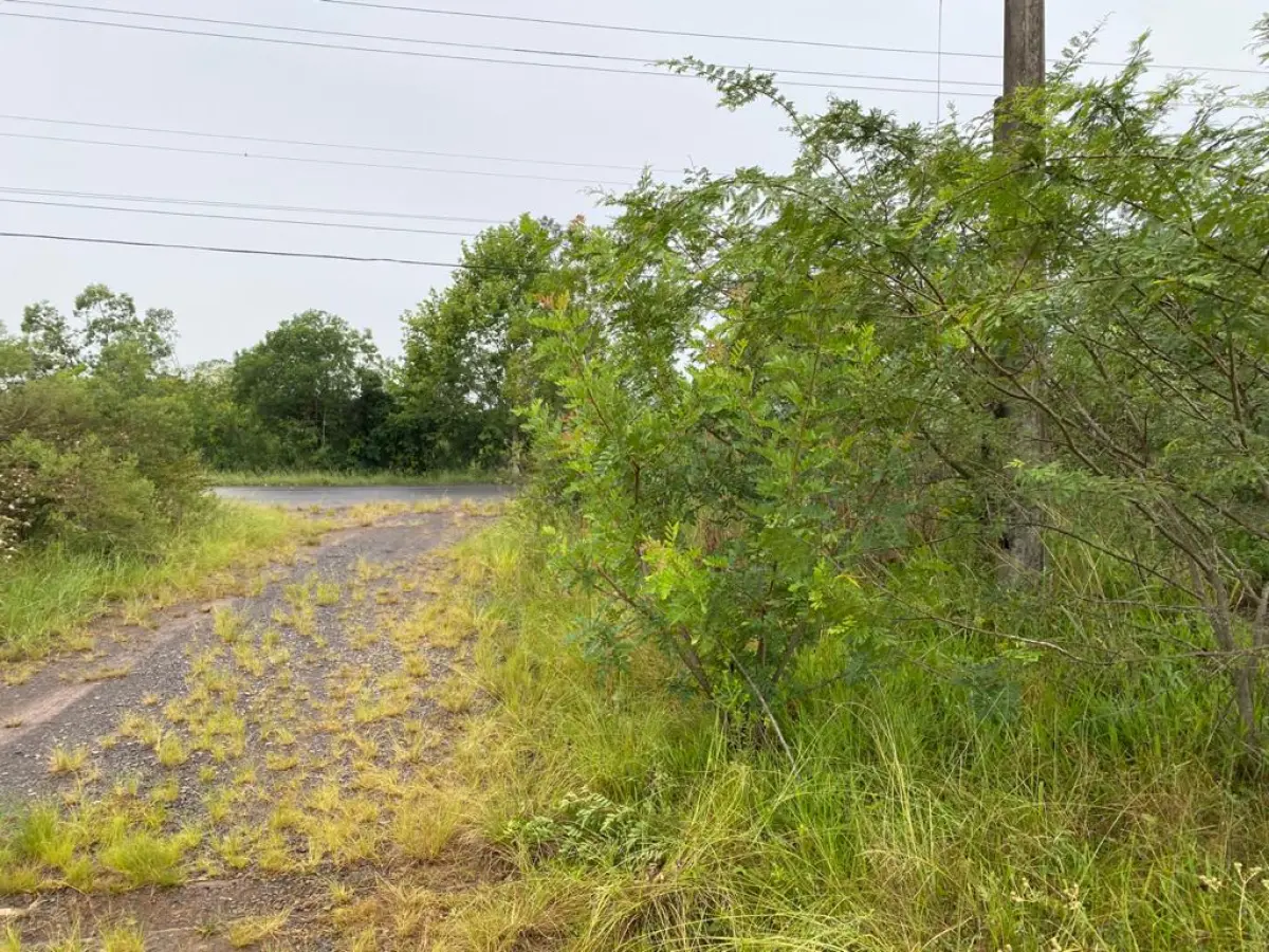 LOTE 000 - IMÓVEL GRANDE C. ÁREA 46.000M2 – 2 FRENTES PARA ESTRADAS ASFALTADAS NA ZONA INDUSTRIAL DE TRIUNFO