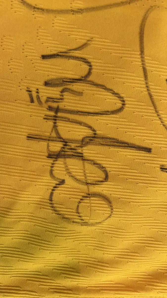 LOTE 001 - CAMPANHA DE DOAÇÃO - LEILÃO DE CAMISA DO JOGADOR TIAGO SILVA DA SELEÇÃO BRASILEIRA AUTOGRAFADA POR TODOS OS JOGADORES - CAMISA COM O LEILOEIRO A DISPOSIÇÃO PARA VISITAÇÃO - AJUDAR ESSA NOBRE CAUSA NÃO TEM PREÇO - PARA CADASTRO RÁPIDO CONTATE O LEILOEIRO 51.991165051