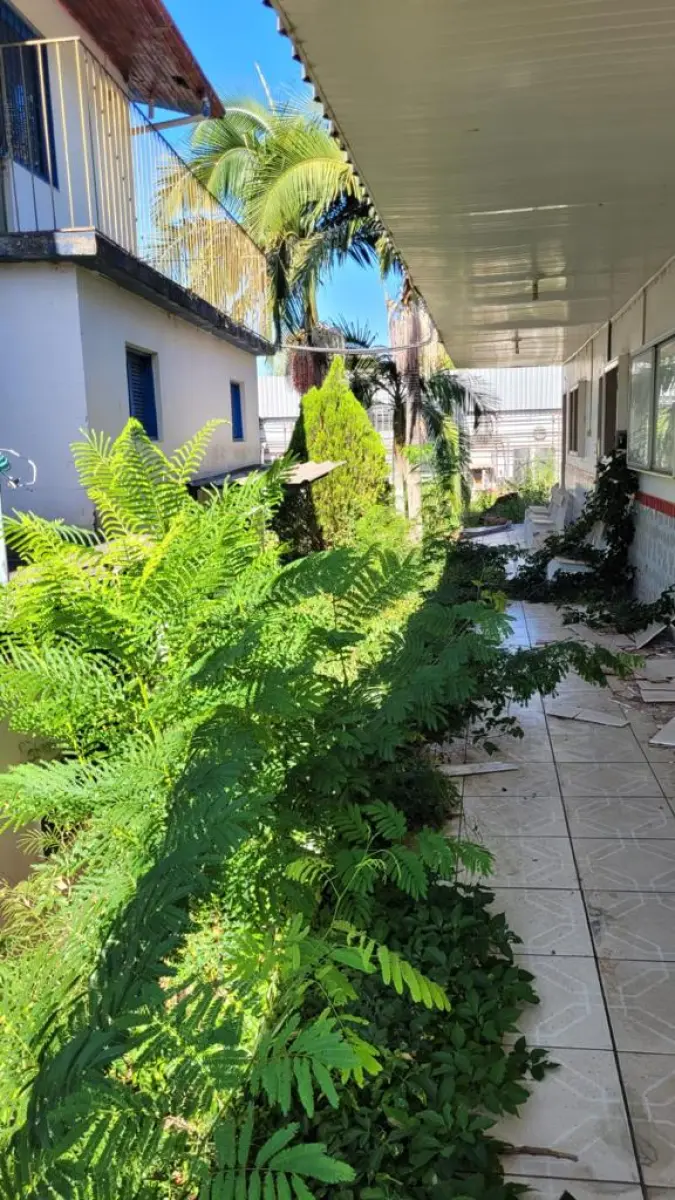 LOTE 000 - Imóvel e pavilhões frente para a VRS 843, cidade de Imigrantes/RS, com área de 16.545,50m2