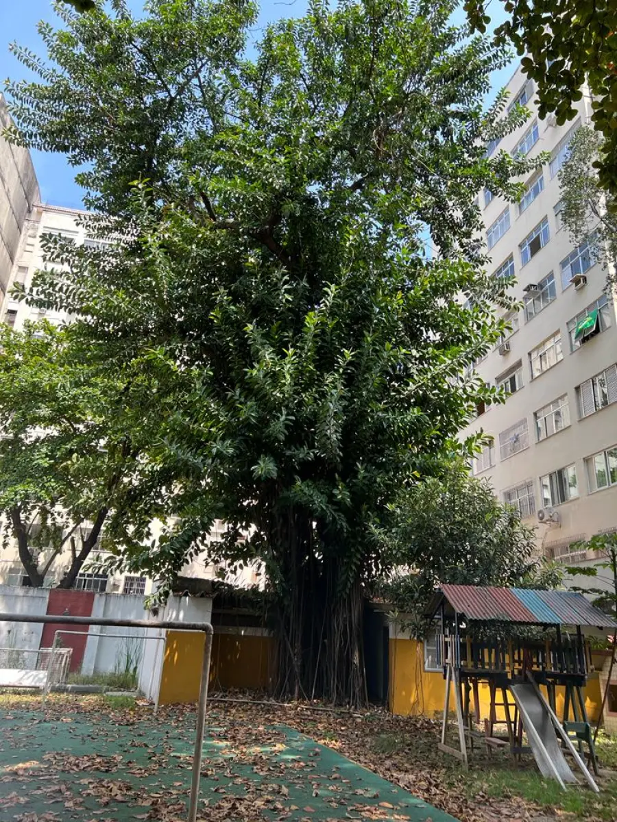 LOTE 001 - ÚNICA GRANDE ÁREA À VENDA EM TODO O BAIRRO DO FLAMENGO/RJ > 13.900m2 DE TERRENO E 23.475M2 CONSTRUÍDOS