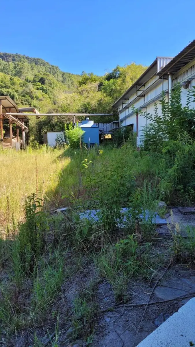 LOTE 000 - Imóvel e pavilhões frente para a VRS 843, cidade de Imigrantes/RS, com área de 16.545,50m2