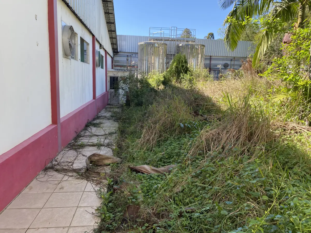LOTE 000 - Imóvel e pavilhões frente para a VRS 843, cidade de Imigrantes/RS, com área de 16.545,50m2