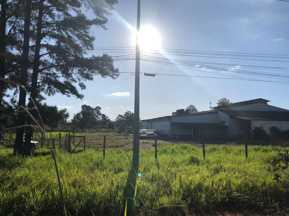 LOTE 001 - 15.000m2 FRENTE BR116 EM GUAIBA - PAVILHÃO E ESTRUTURA PARA  BENEFICIAMENTO DE GRÃOS