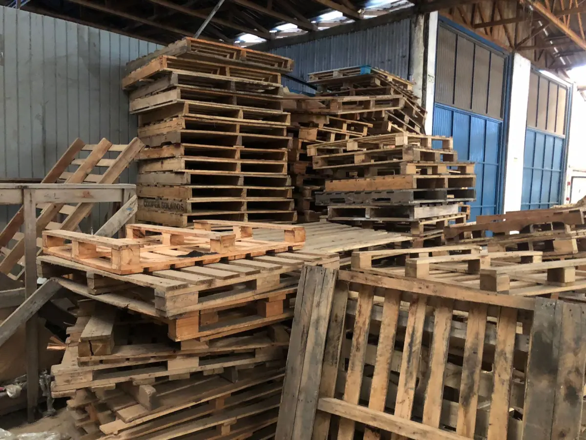 LOTE 001 - LOTE DE PALLETS DE MADEIRA