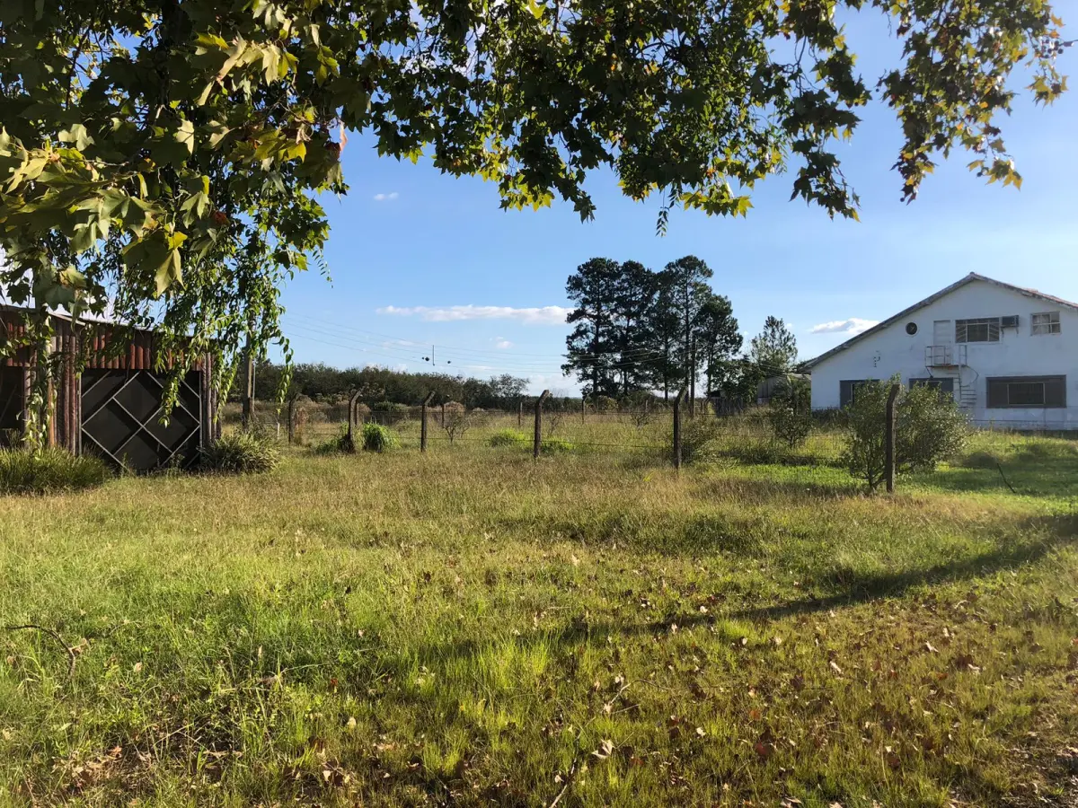 LOTE 001 - 15.000m2 FRENTE BR116 EM GUAIBA - PAVILHÃO E ESTRUTURA PARA  BENEFICIAMENTO DE GRÃOS