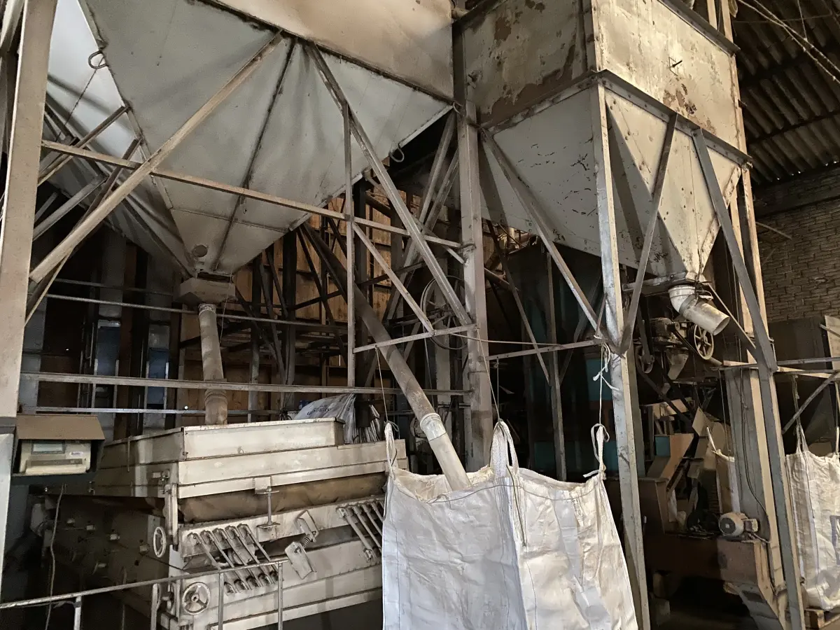 LOTE 005 - sistema de preparação de feijão com moega pequena tipo bacia, elevadores, desbastadoras, filtragem, secagem, com mesa vibratoria e classificação de grãos