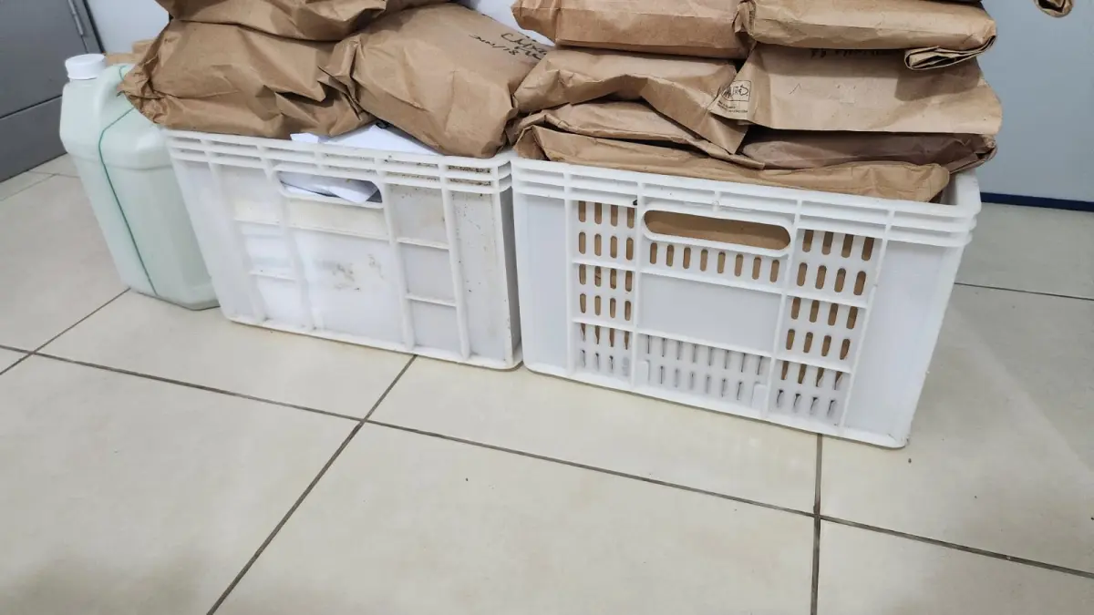 LOTE 113 - LOTE DE CAIXAS PLÁSTICO