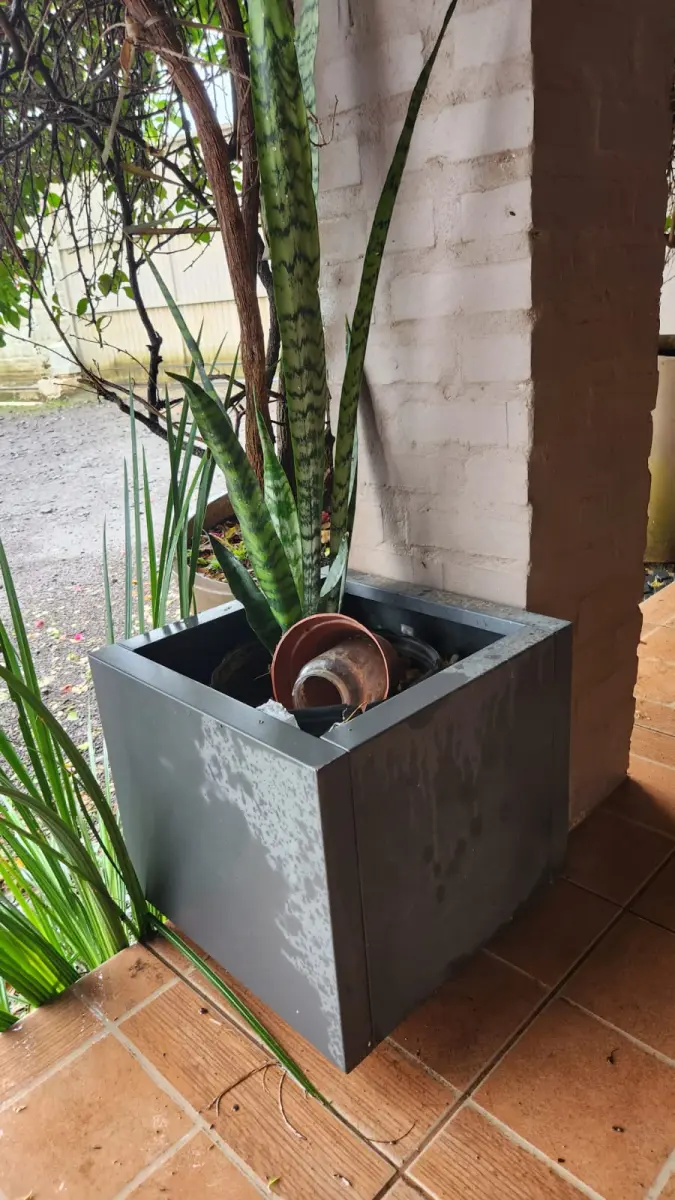 LOTE 141 - 5 VASOS COM PLANTAS