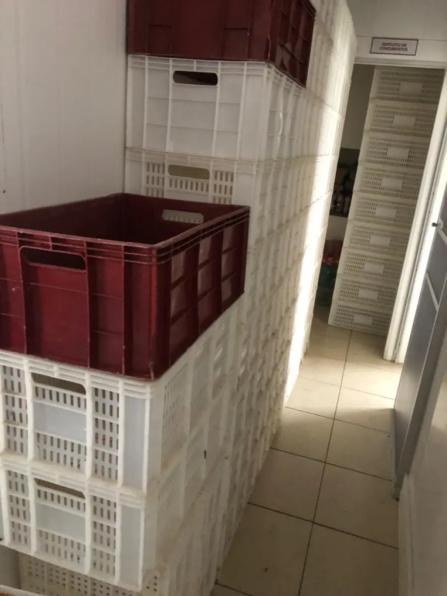 LOTE 245 - 83 CAIXAS PLÁSTICAS AÇOUGUE