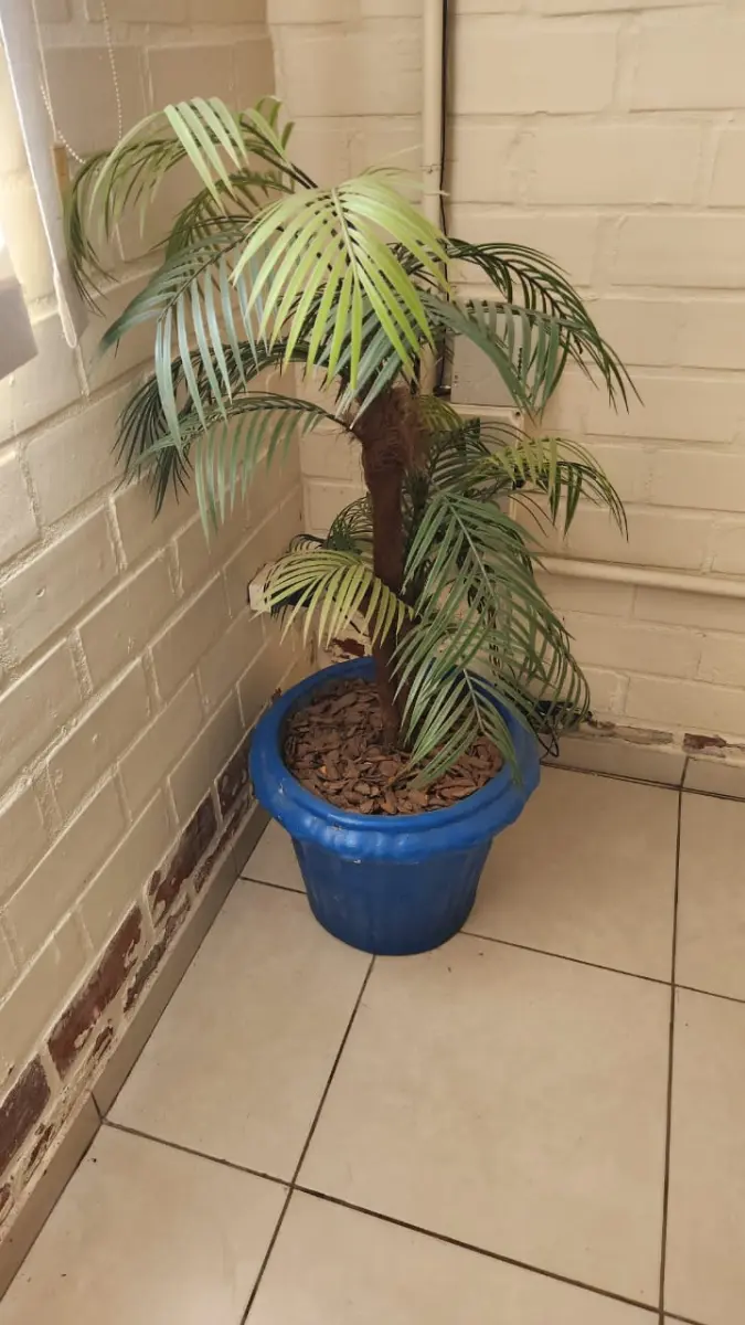 LOTE 141 - 5 VASOS COM PLANTAS