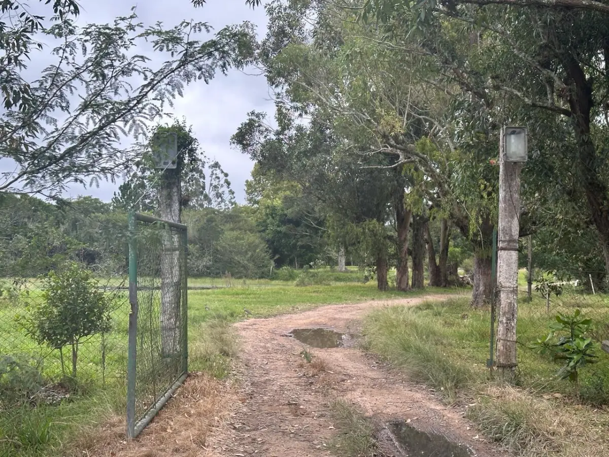 LOTE 000 - SÍTIO COM PISCINA, QUADRAS E SEDE NA ZONA SUL DE POA