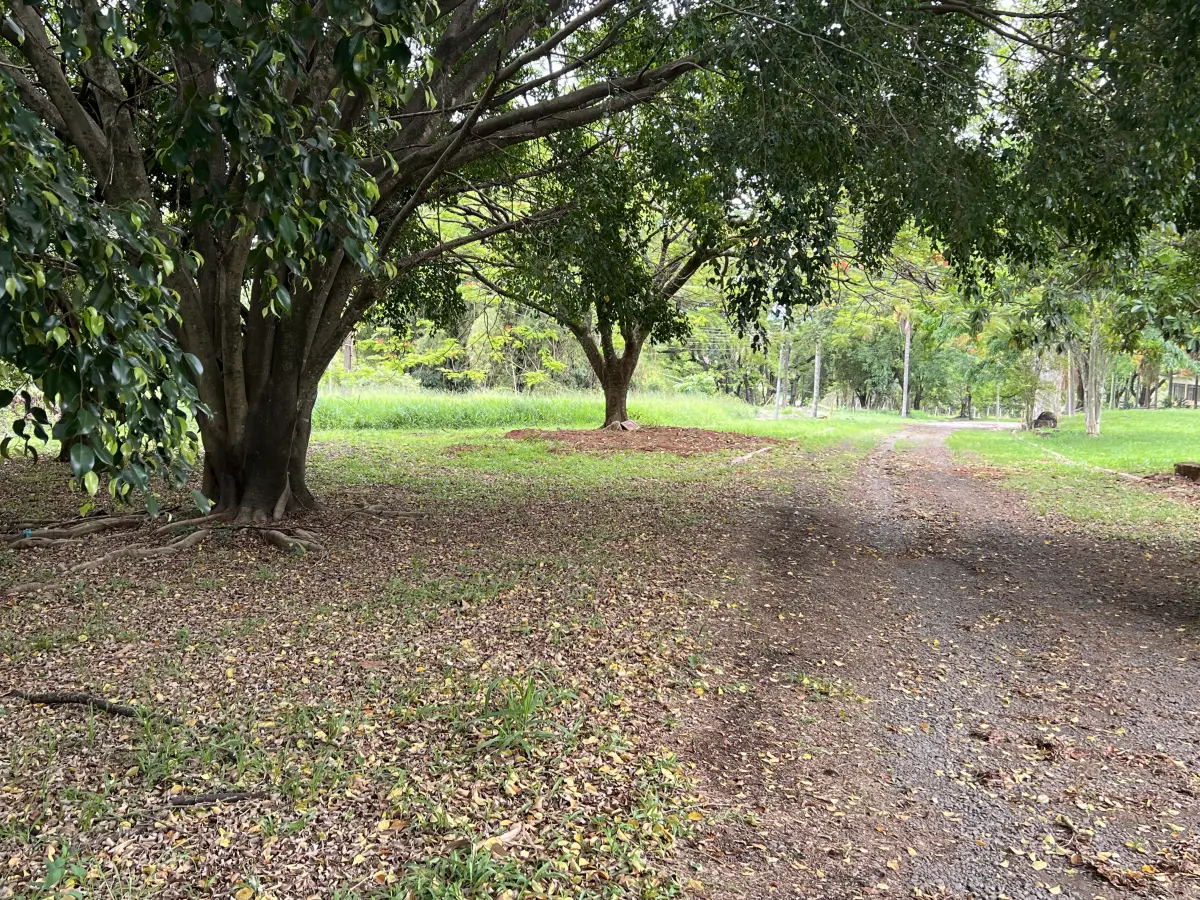 LOTE 001 - GRANDE IMÓVEL COM 35.000M2 EM PIRACICABA COM CASAS - FAZENDINHA - LADO DA UNIMEP