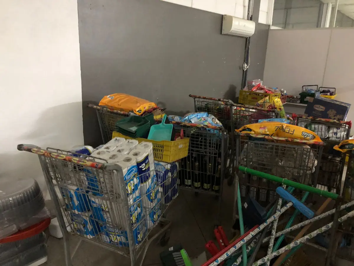 LOTE 001 - Lote com alimentos, bebidas e etc