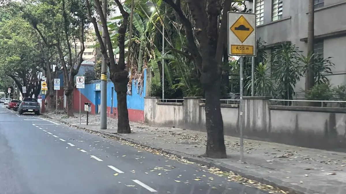 LOTE 000 - IMÓVEL NO CORAÇÃO  DE BELO HORIZONTE -14.400M2 BAIRRO LOURDES
