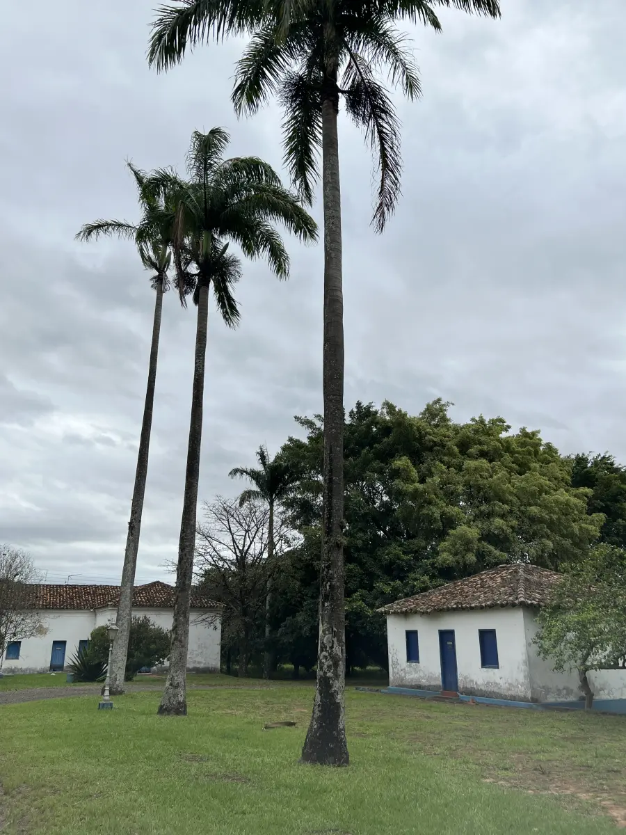 LOTE 001 - GRANDE IMÓVEL COM 35.000M2 EM PIRACICABA COM CASAS - FAZENDINHA - LADO DA UNIMEP