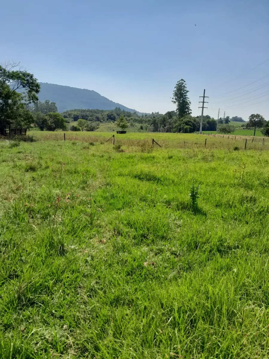 LOTE 001 - UPI DE FABRICA DE TIJOLOS - CERAMICA COMPLETA - CAMINHOES - EMPILHADEIRA -ESCAVADEIRA - SEDE COMPLETA PRODUZINDO - 2 JAZIDAS ATIVAS E COM LICENÇAS - MAIS UM OUTRO IMÓVEL PARA SEDE FUTURA