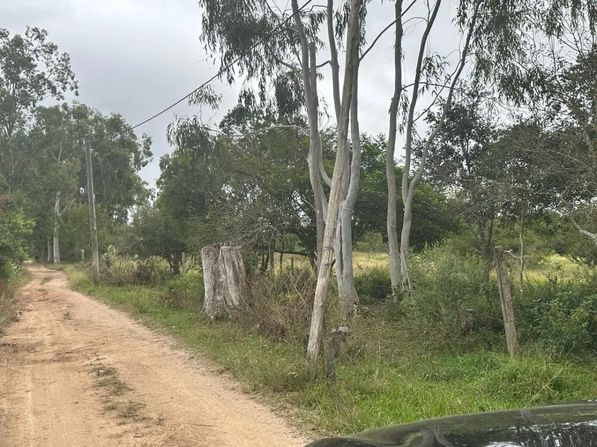 LOTE 000 - SÍTIO COM PISCINA, QUADRAS E SEDE NA ZONA SUL DE POA