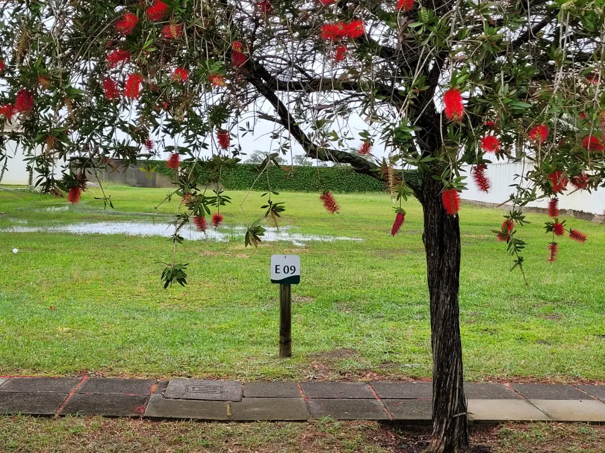 LOTE 002 - Terreno área de 1.361,40m2