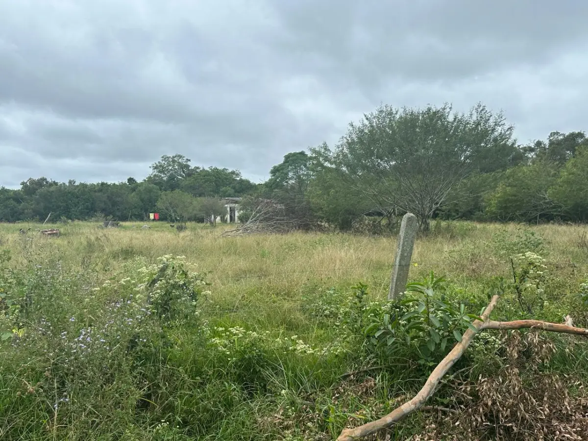 LOTE 000 - SÍTIO COM PISCINA, QUADRAS E SEDE NA ZONA SUL DE POA