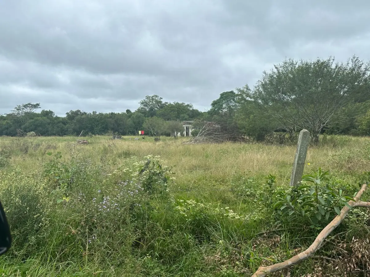 LOTE 000 - SÍTIO COM PISCINA, QUADRAS E SEDE NA ZONA SUL DE POA
