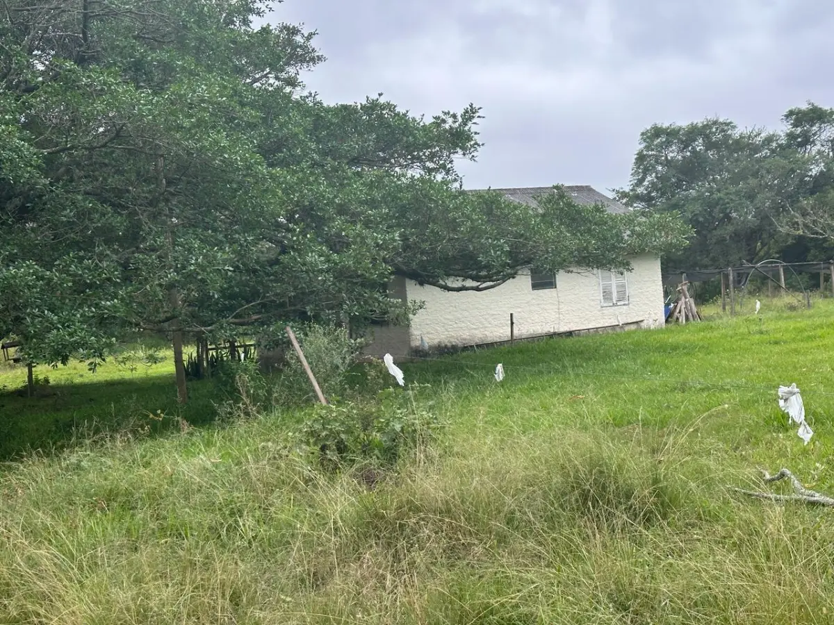 LOTE 000 - SÍTIO COM PISCINA, QUADRAS E SEDE NA ZONA SUL DE POA