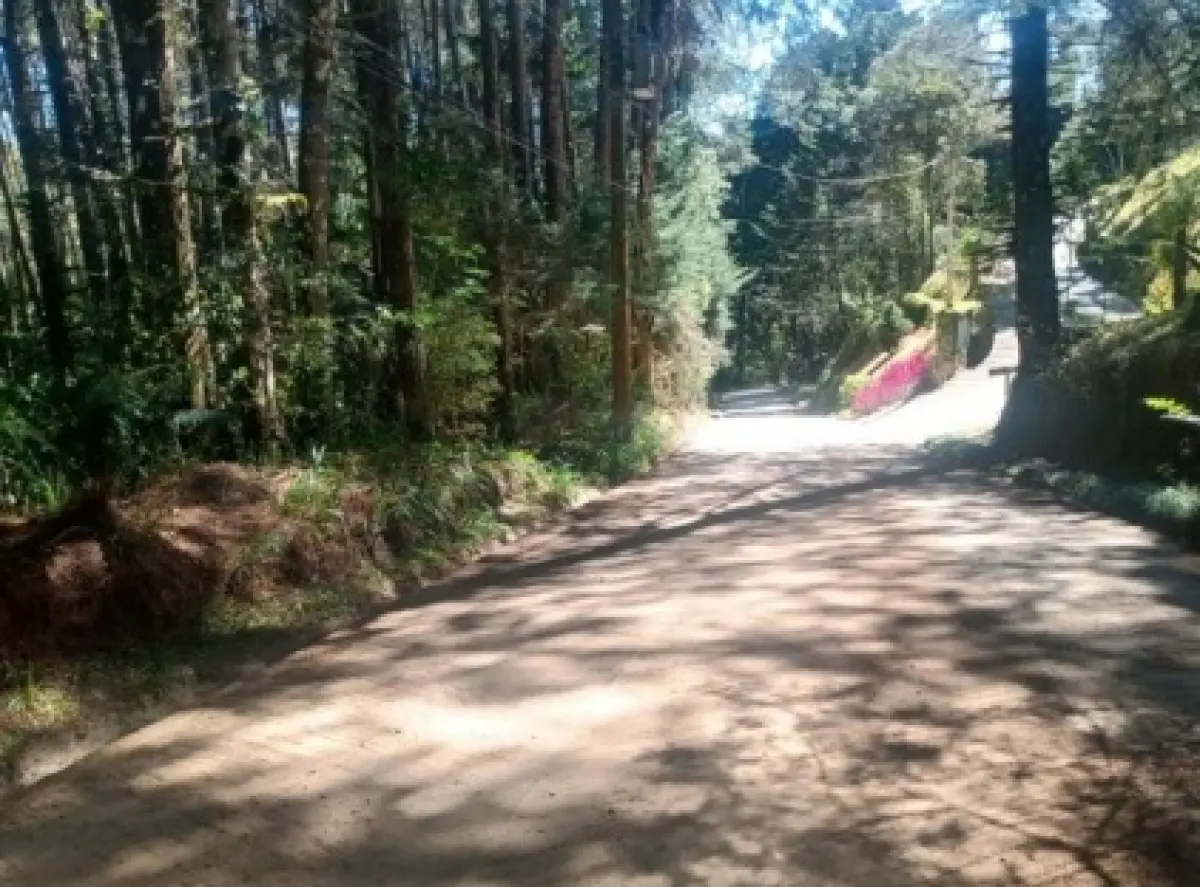 LOTE 001 - GRANDE ÁREA 1.101.671M2 EM CAMPOS DO JORDÃO / SP – COM BASTANTE ÁREA VERDE