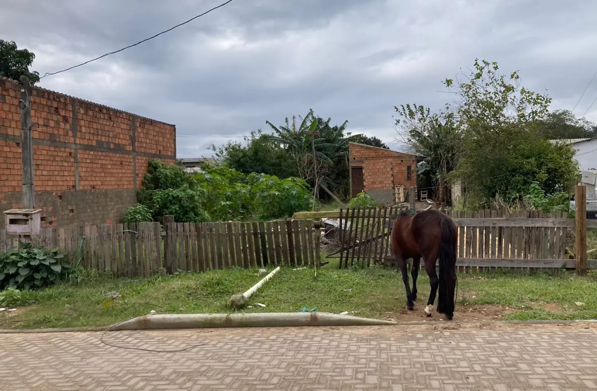 LOTE 034 - Um terreno constituído do lote número dezesseis (16), da quadra número vinte e cinco (25)