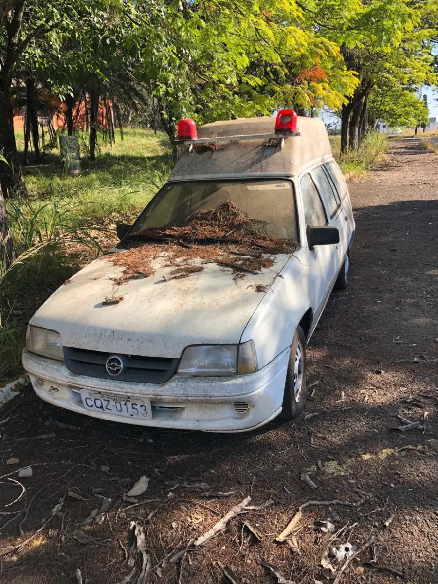 LOTE 012 - KADET/IPANEMA