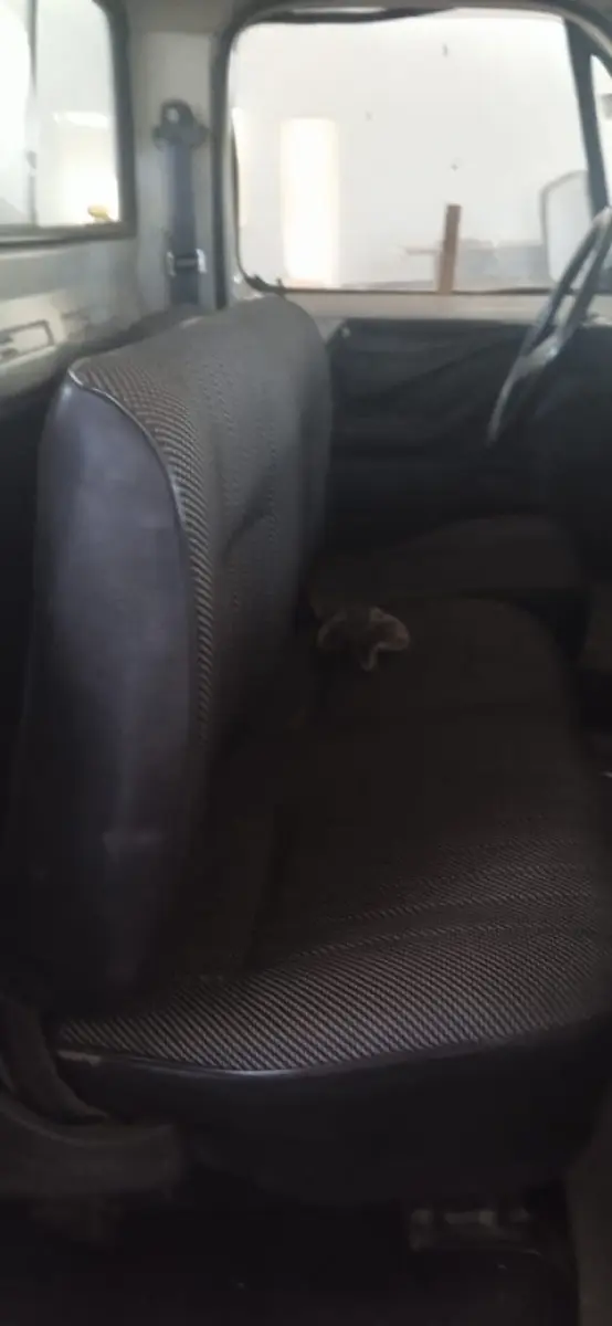 LOTE 007 - CAMINHONETE D20