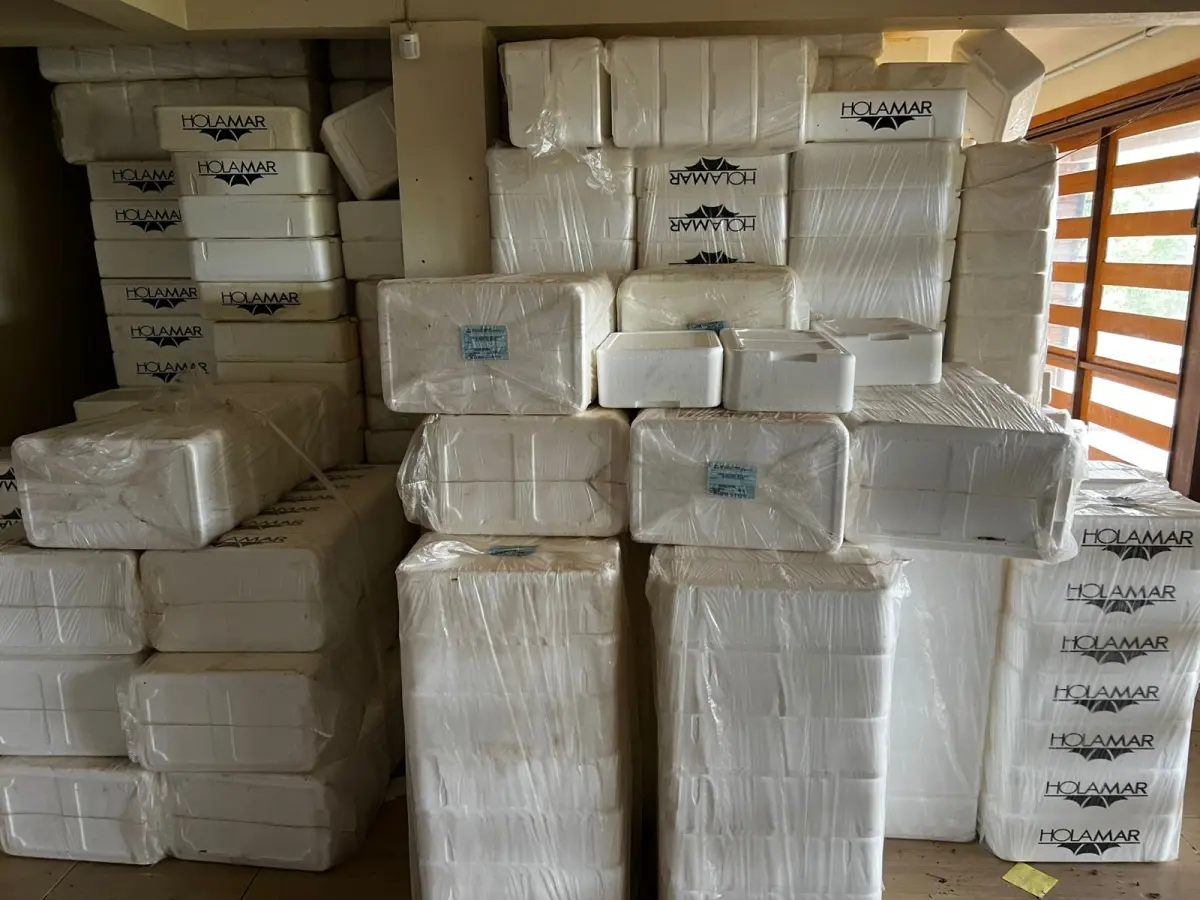 LOTE 001 - O imóvel localizado na Linha São Jacó, em Teutônia/RS. Sendo um área de terras com a superfície de 8.500m²