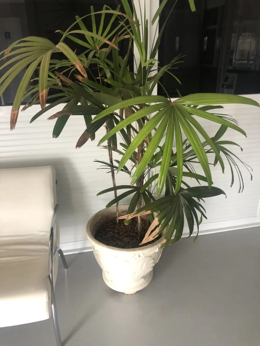 LOTE 001 - LOTE ENGLOBADO DE MAQUIINAS E EQUIPAMENTOS