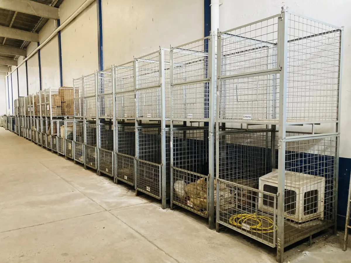 LOTE 007 - Bens diversos