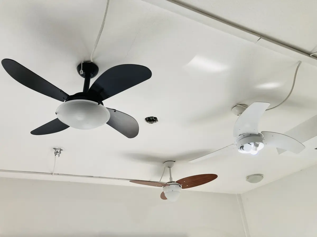 LOTE 007 - Bens diversos