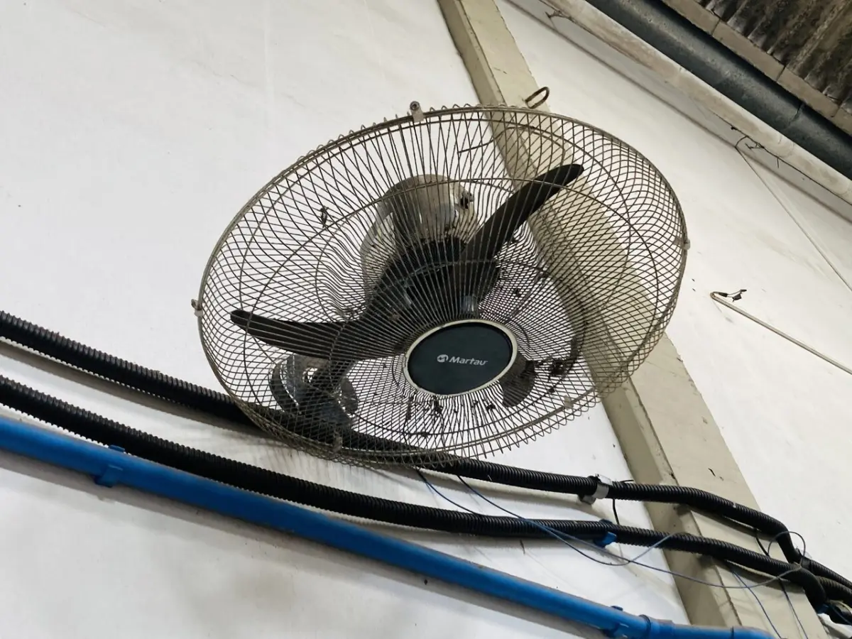 LOTE 007 - Bens diversos