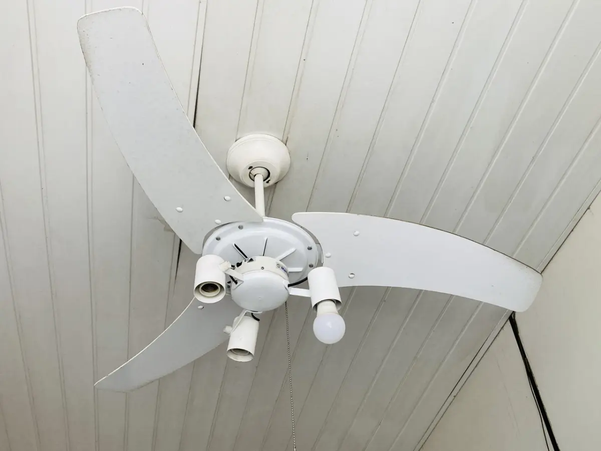 LOTE 007 - Bens diversos