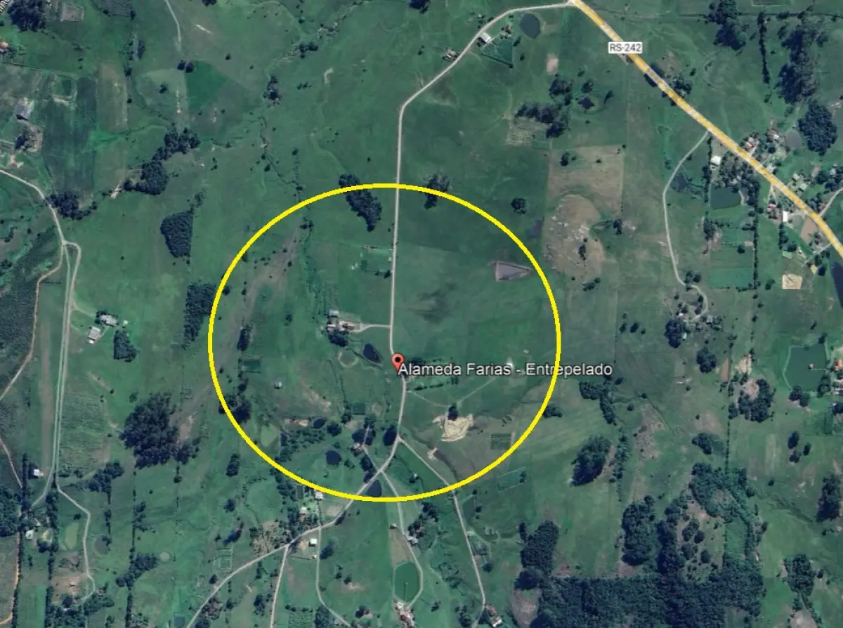 LOTE 029 - Terreno rural de cultura, com a área de 113.000m2, compreendendo uma casa de moradia, situado no lugar denominado Entrepelado, em Taquara